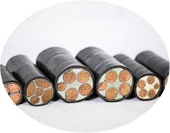 东北青青草手机在线视频 东北青青草手机在线视频