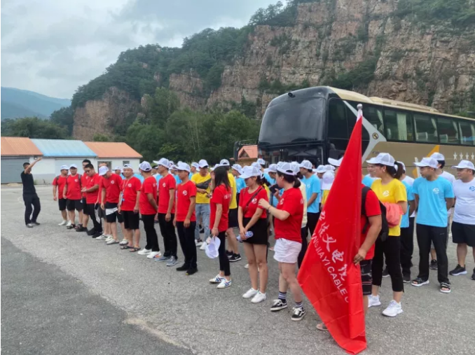 东北青青草手机在线视频