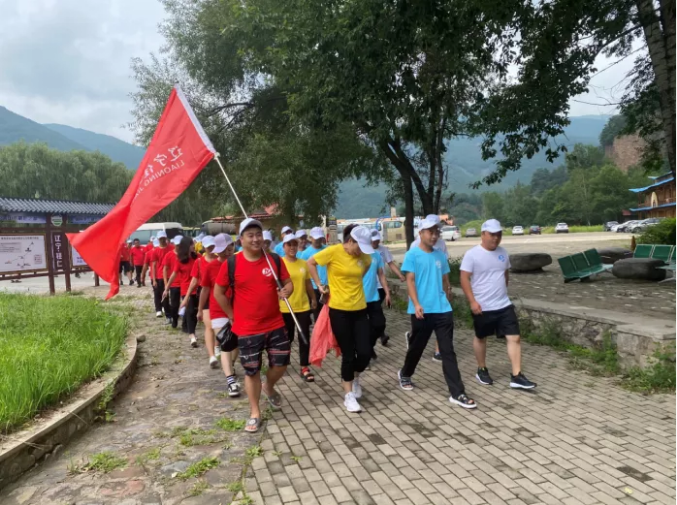 东北青青草手机在线视频