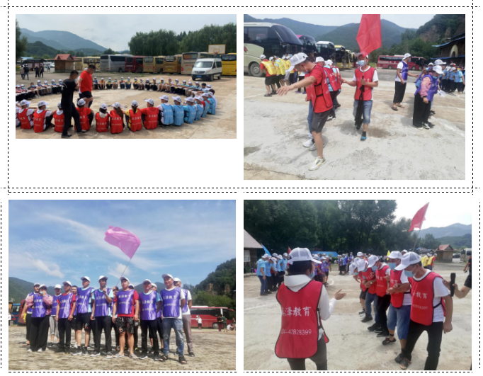 东北青青草手机在线视频