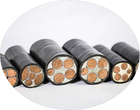 东北青青草手机在线视频